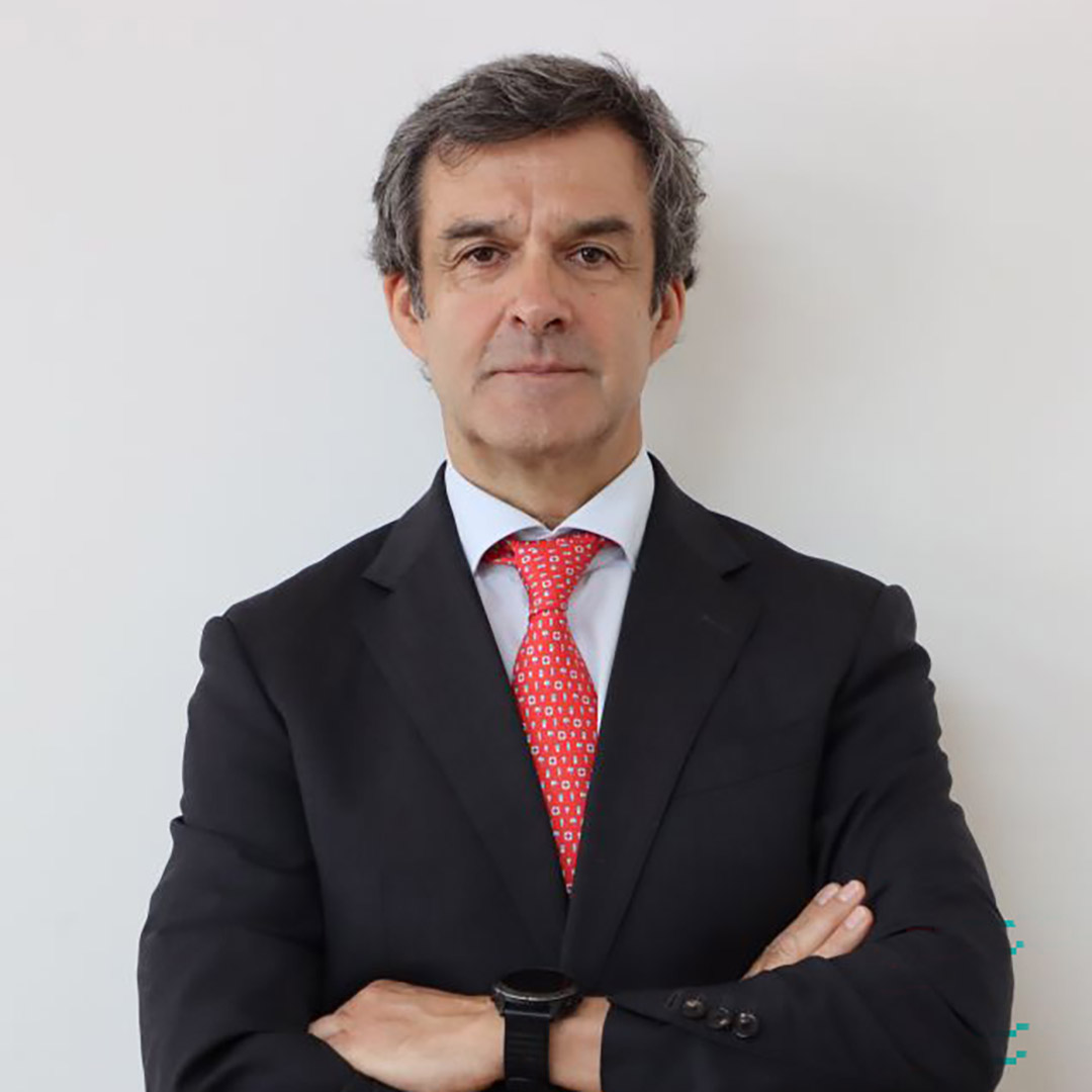 Foto José Oliveira